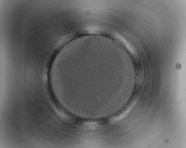 X0000101980213200808151408