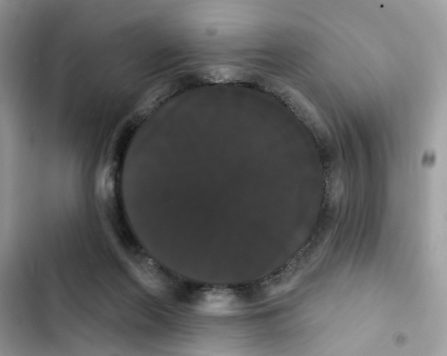 X0000101980214200808151408