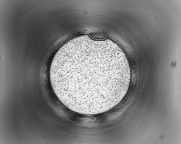 X0000101980215200808151408