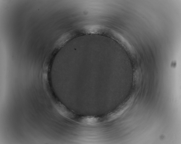 X0000101980217200808151408