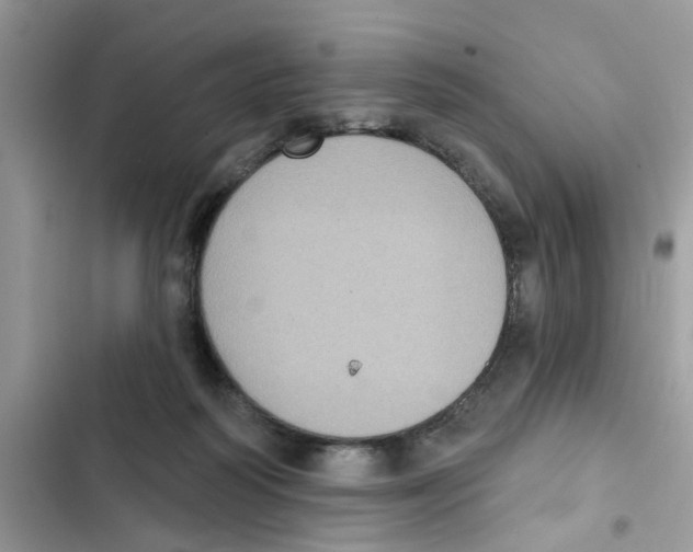 X0000101980218200808151408