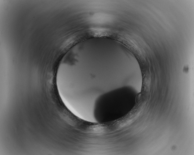 X0000101980219200808151408