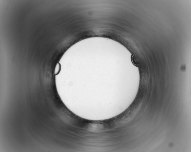 X0000101980220200808151408