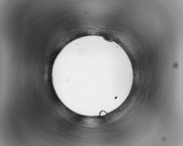 X0000101980221200808151408