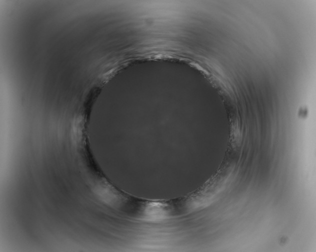 X0000101980222200808151408