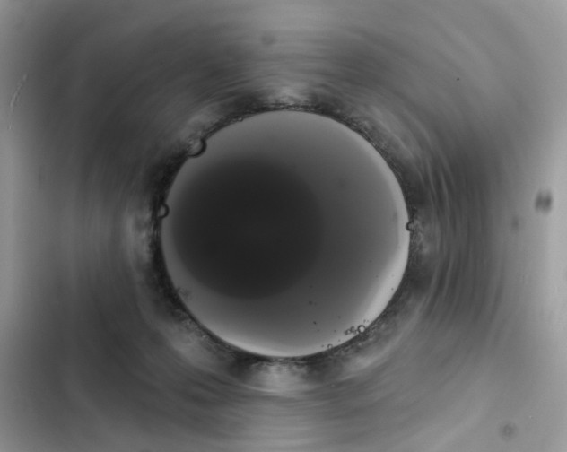 X0000101980223200808151408