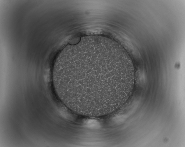 X0000101980224200808151408