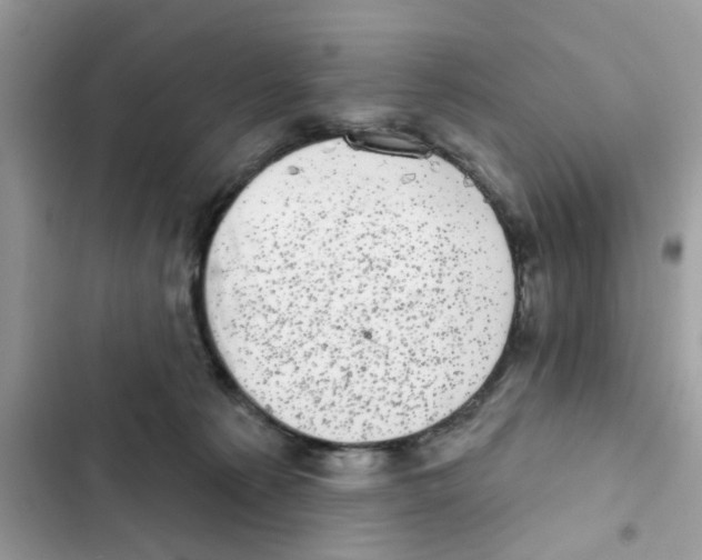 X0000101980225200808151408