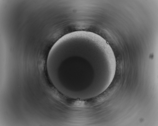 X0000101980227200808151408