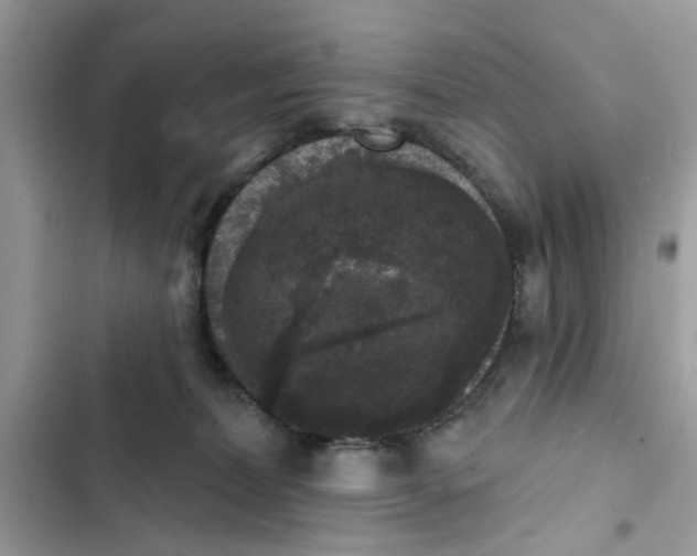 X0000101980228200808151408