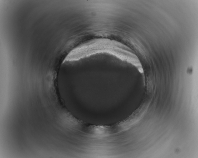 X0000101980229200808151408