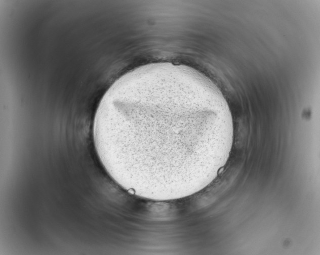 X0000101980230200808151408