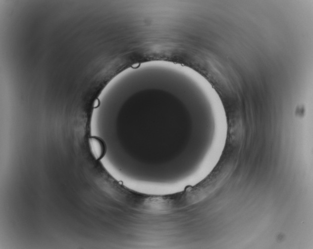 X0000101980231200808151408