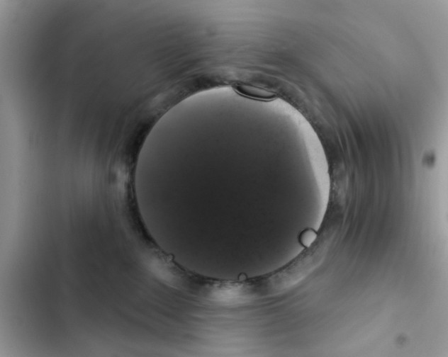 X0000101980235200808151408