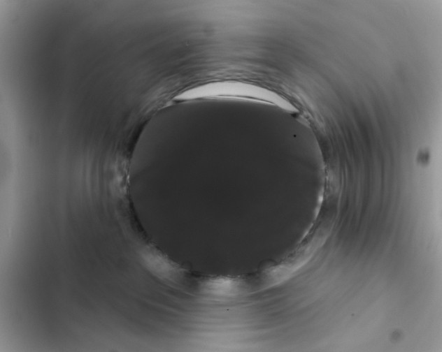 X0000101980237200808151408