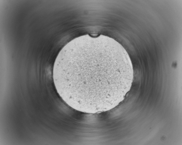 X0000101980238200808151408