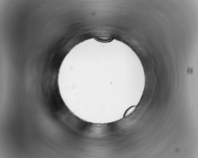 X0000101980240200808151408