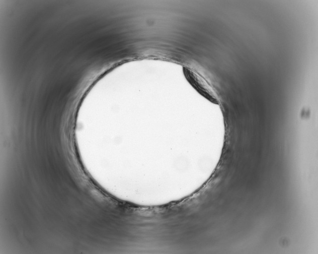 X0000101980241200808151407