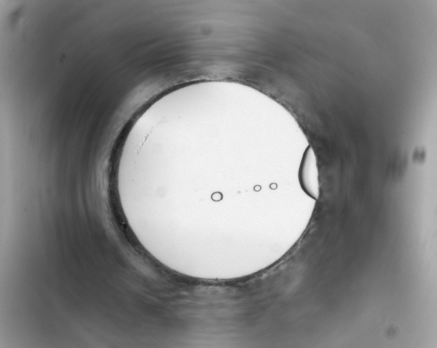 X0000101980242200808151407