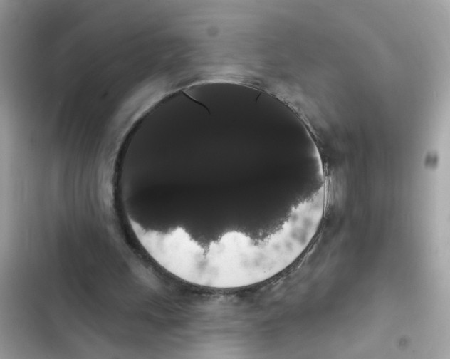 X0000101980243200808151407