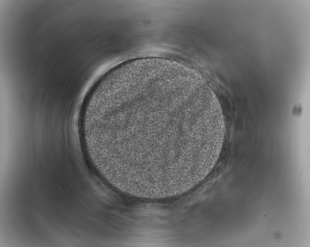 X0000101980244200808151407