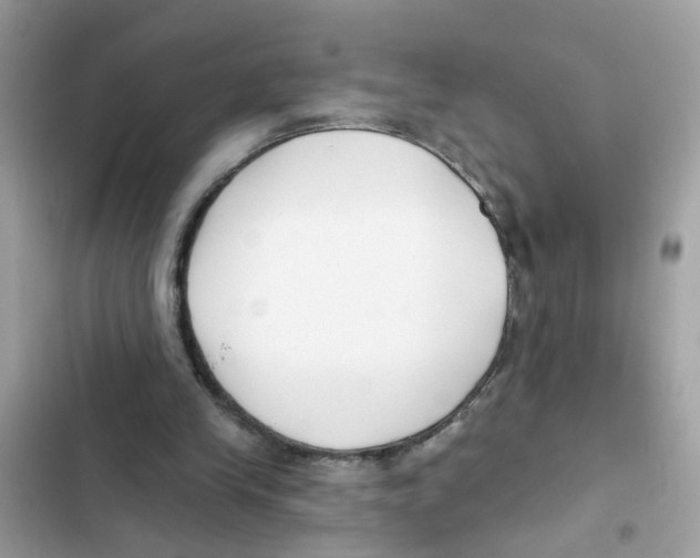 X0000101980245200808151407