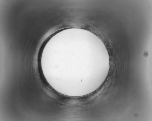 X0000101980246200808151407