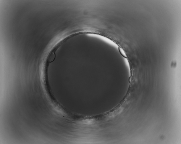 X0000101980247200808151407