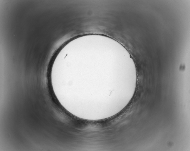 X0000101980248200808151407