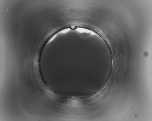 X0000101980249200808151407