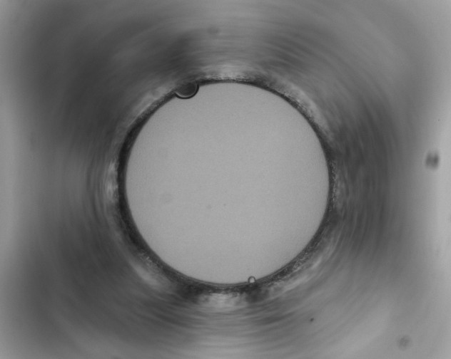 X0000101980251200808151408