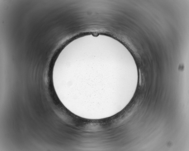 X0000101980252200808151408