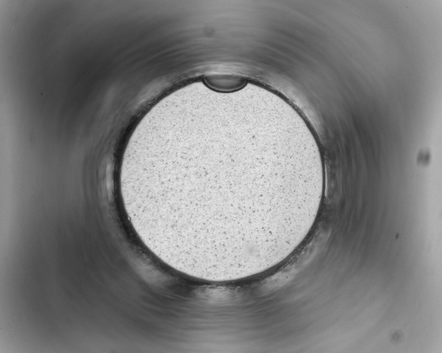 X0000101980253200808151408