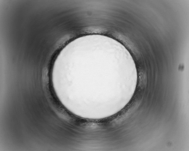 X0000101980254200808151408