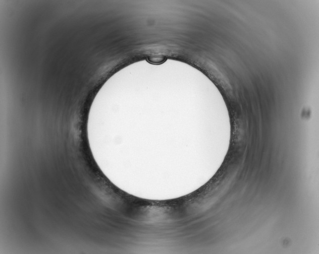 X0000101980255200808151408