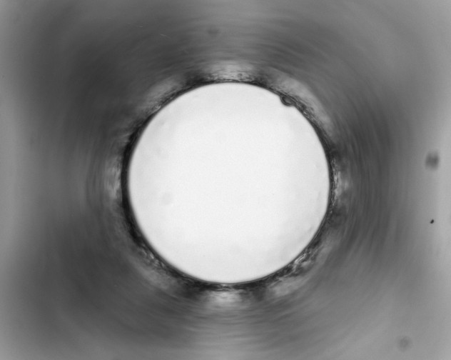 X0000101980259200808151408