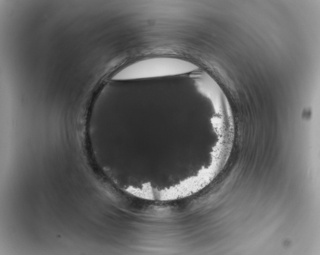 X0000101980260200808151408