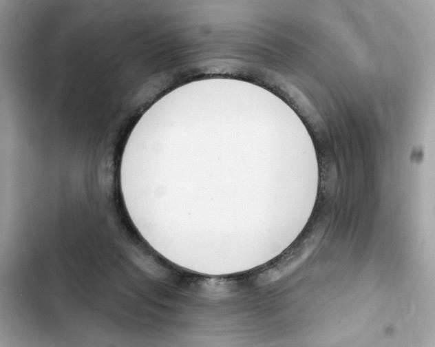 X0000101980261200808151408