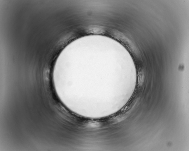 X0000101980263200808151408