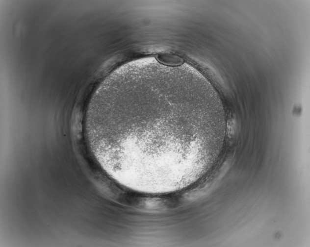 X0000101980264200808151408