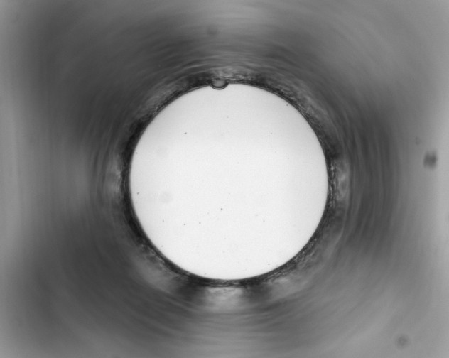 X0000101980266200808151408