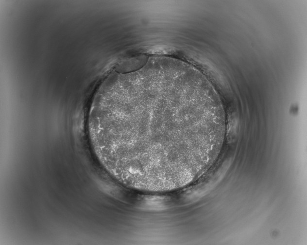 X0000101980268200808151408