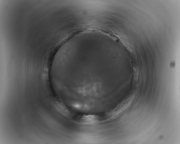 X0000101980269200808151408