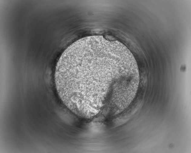 X0000101980270200808151408