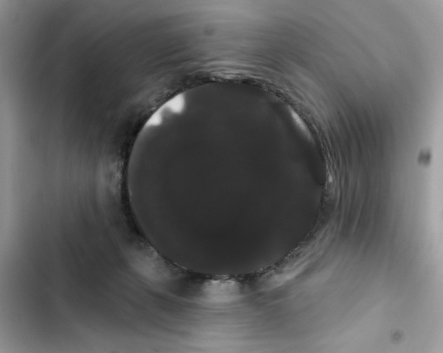 X0000101980271200808151408