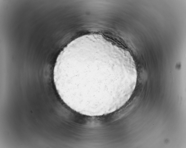 X0000101980273200808151408