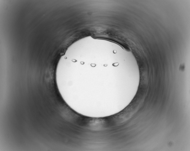 X0000101980274200808151408