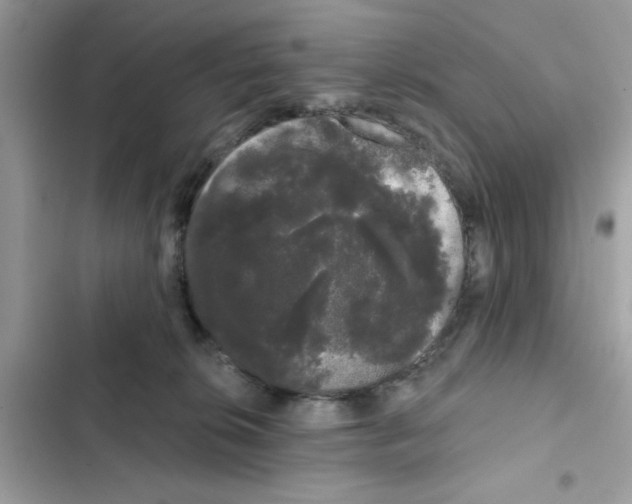 X0000101980276200808151408