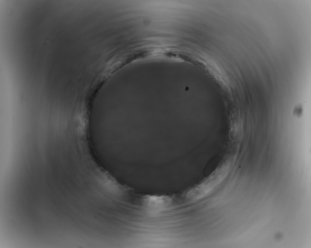 X0000101980277200808151408