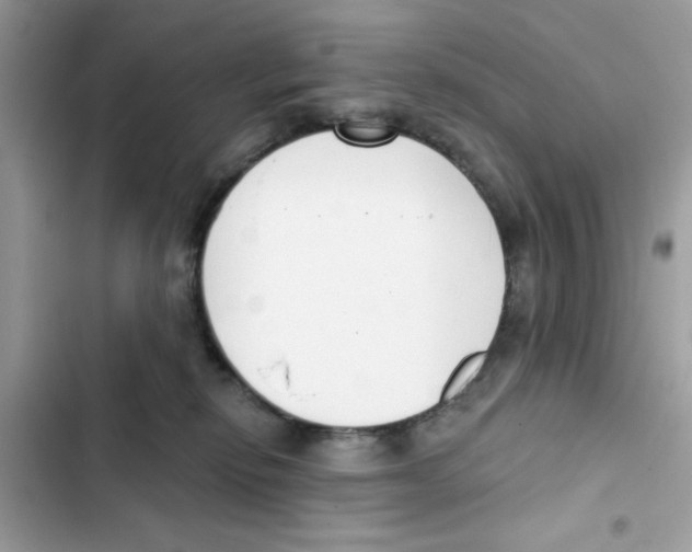 X0000101980278200808151408